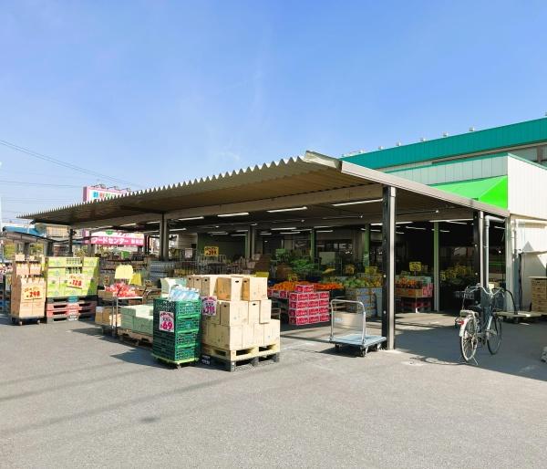 柏市亀甲台町1丁目　1号棟　新築戸建(フードセンターわたなべ新柏店)