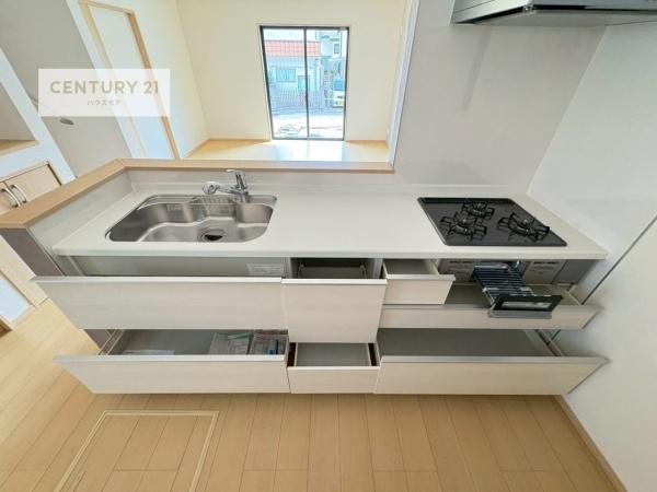 松戸市秋山　B号棟　新築戸建て