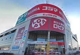 サーパス柏(ロピア柏コジマ店)