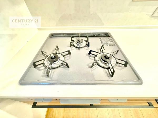 松戸市新松戸南2丁目　1号棟　新築戸建