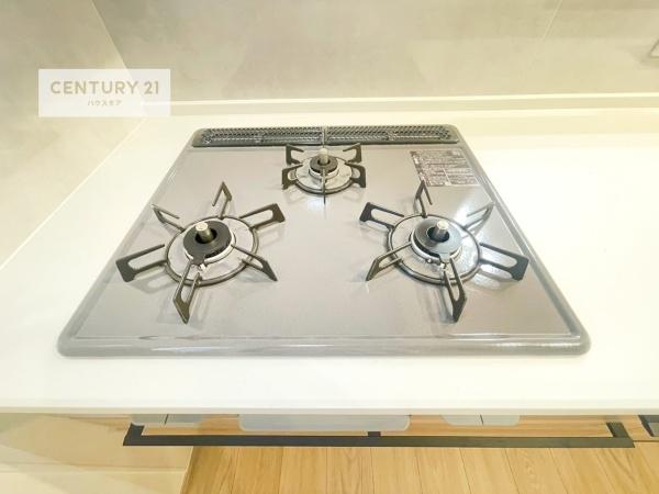 松戸市新松戸南2丁目　2号棟　新築戸建