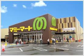 松戸市栄町1丁目　3号棟　新築戸建て(マミーマート松戸古ヶ崎店)
