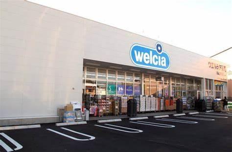 流山市南　新築戸建て(ウエルシア流山西初石店)
