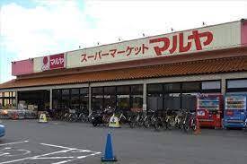 コープ野村南流山壱番街2号棟(マルヤ南流山店)