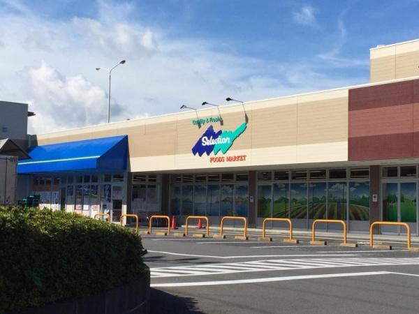 柏市新逆井2丁目　2号棟　新築戸建(FOODS　MARKET　Selection青葉台店)