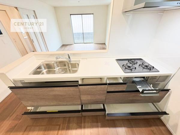 松戸市西馬橋2丁目　C号棟　新築戸建