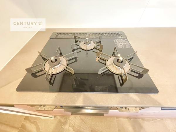 流山市南流山7丁目　新築戸建