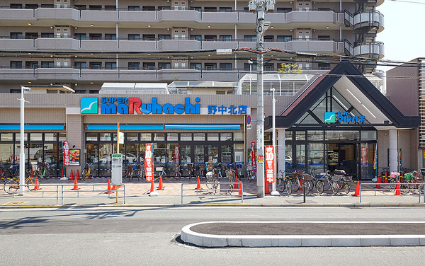 シャルム野中南公園(スーパーマルハチ野中北店)