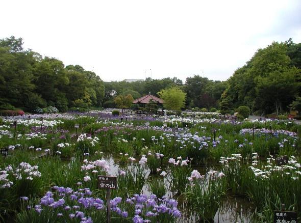 大阪市旭区赤川2丁目の中古一戸建て(城北公園)