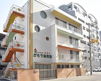 大阪市城東区蒲生4丁目の中古一戸建て(がもう保育園)