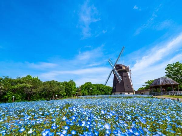 大阪市鶴見区緑3丁目の中古一戸建て(鶴見緑地)