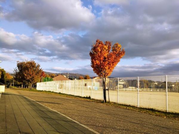 大東市灰塚3丁目の土地(東諸福公園)