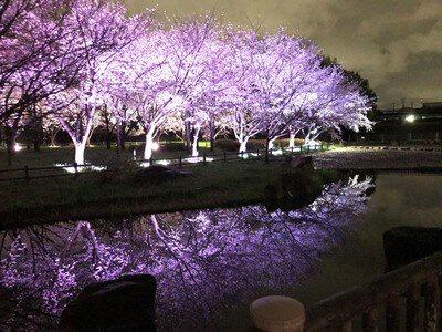 大東市南楠の里町の土地(深北緑地)