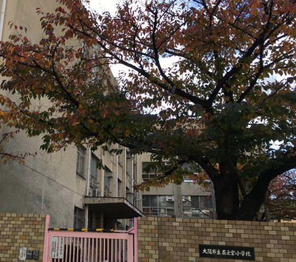 森の宮パークサイドコーポ(大阪市立森之宮小学校)