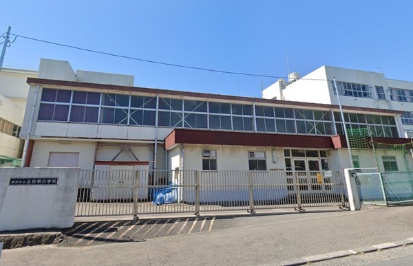 ルピナス四季の森公園(横浜市立上白根小学校)