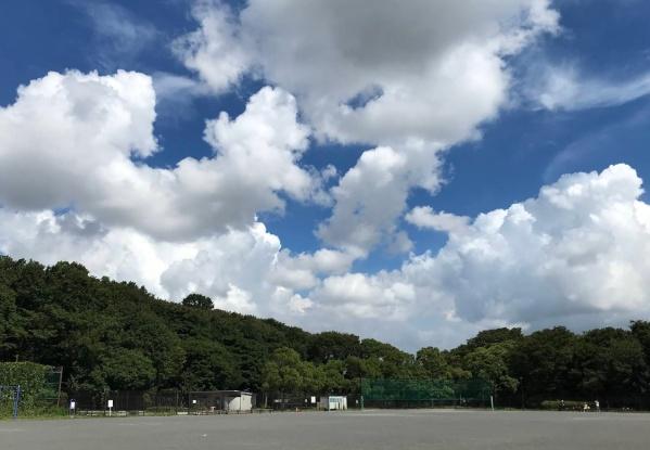 かしの木台ハイツ6号棟(葛ケ谷公園)