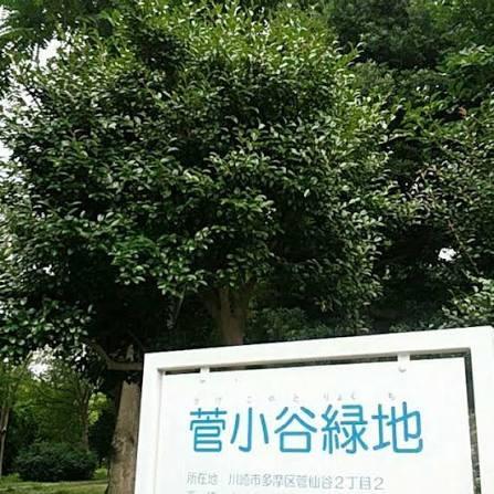 アドリーム稲田堤(菅小谷緑地)