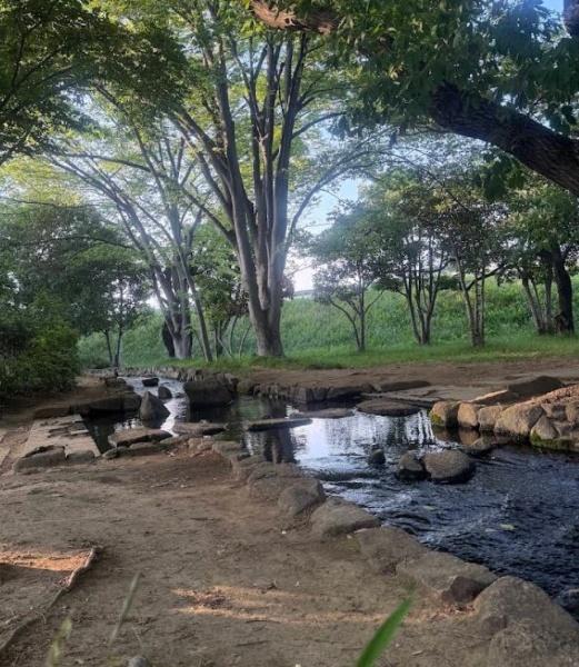 サンビーム多摩川(稲田公園)