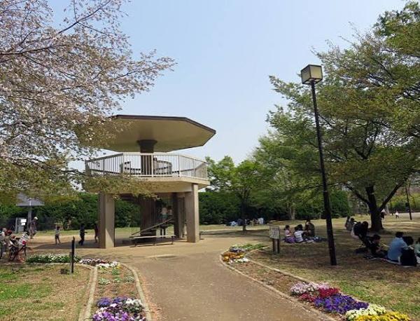 ナイスアーバン新川崎ステイツ(夢見ケ崎公園)