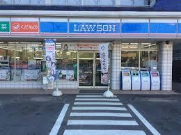 ルミネ鷺沼第２(ローソン川崎有馬九丁目店)