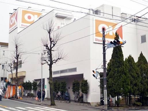 レイディアントシティ向ヶ丘遊園フランス街区(オーケー生田店)