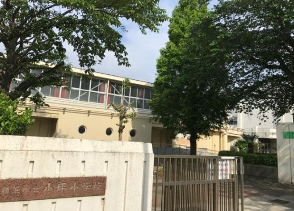 港南台つぐみ団地１３号棟(横浜市立小坪小学校)