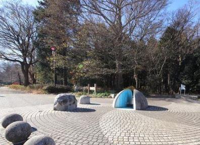 新築戸建　瀬谷区南台２丁目　１号棟(南台こどもの森公園)