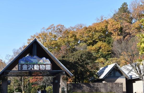 新築戸建　金沢区釜利谷西４丁目　１号棟(横浜市立金沢動物園)