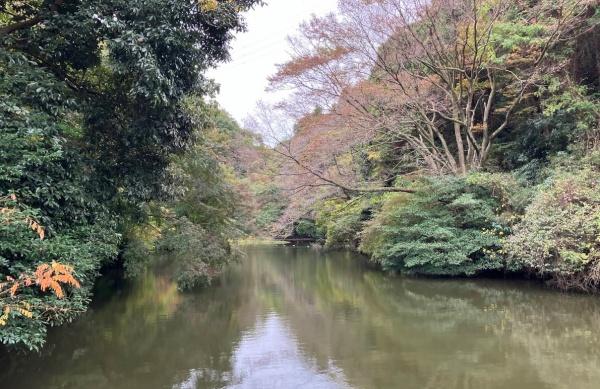 新築戸建　栄区庄戸２丁目(瀬上市民の森)