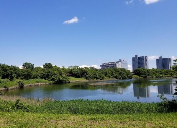 金沢シーサイドタウンなぎさ団地１２号棟(長浜公園)
