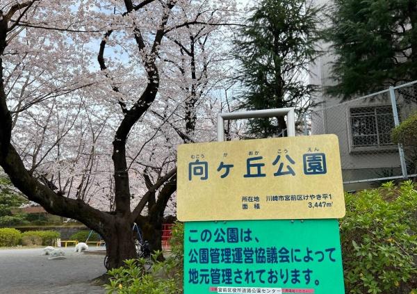 ヒルハイツ宮前平ウエスト(向ケ丘緑地)