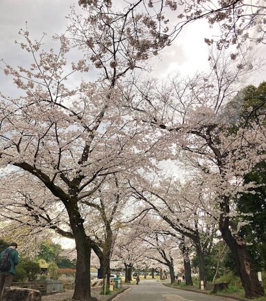 クイーンハイツ久地(緑ケ丘霊園)