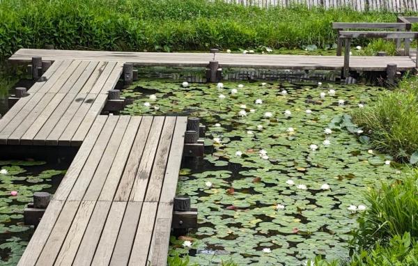 朝日シティパリオ多摩川(大田区多摩川台公園)