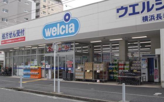 ガーラ・プレシャス横濱関内(ウエルシア横浜長者町店)
