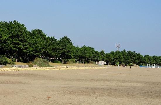 サウスウイング金沢５号棟(海の公園)