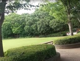 アシェール鶴川(三輪緑山1号緑地)