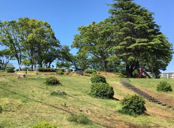 デュオヒルズ中央林間(つきみ野1号公園)