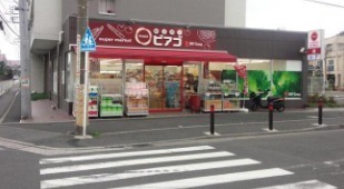 ネクサスガーデンブライトテラス(miniピアゴ戸塚町店)