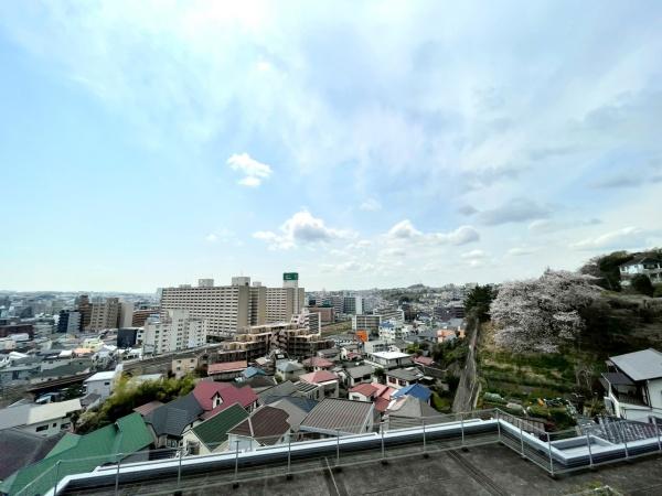 ダイアパレス清水ヶ丘スウィートガーデン
