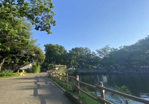 新築戸建　港北区篠原台町　1号棟(菊名池公園)