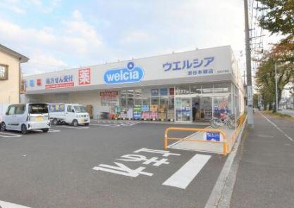 新築戸建 横浜市瀬谷区中屋敷2丁目 A棟(ウエルシア瀬谷本郷店)
