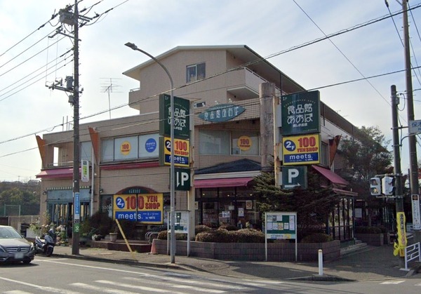 グリーンコーポ多摩プラザA棟(食品館あおば美しが丘店)
