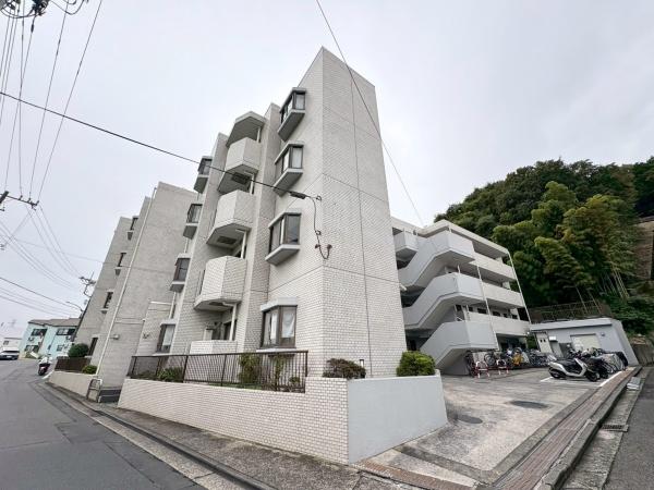 コスモ綱島