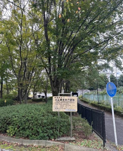 リーフィアレジデンス橋本(小山観音谷戸緑地)