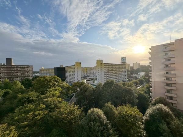 若葉台団地２－１７号棟