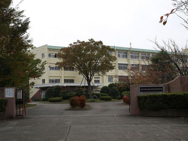 新築戸建 泉区岡津町Ⅲ(神奈川県立横浜緑園高校)