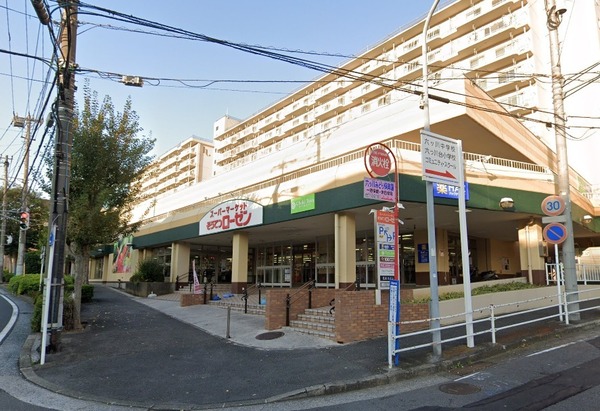 六ツ川台団地2-11号棟(そうてつローゼン六ツ川店)