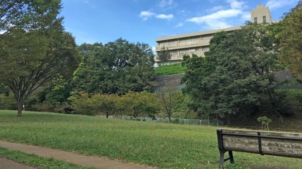 東急ドエルビアス市が尾Ｂ棟(北八朔公園)