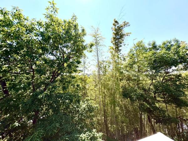 横浜市南区永田北２丁目の新築一戸建