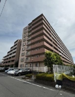 ビクトリアアネーロ大宮